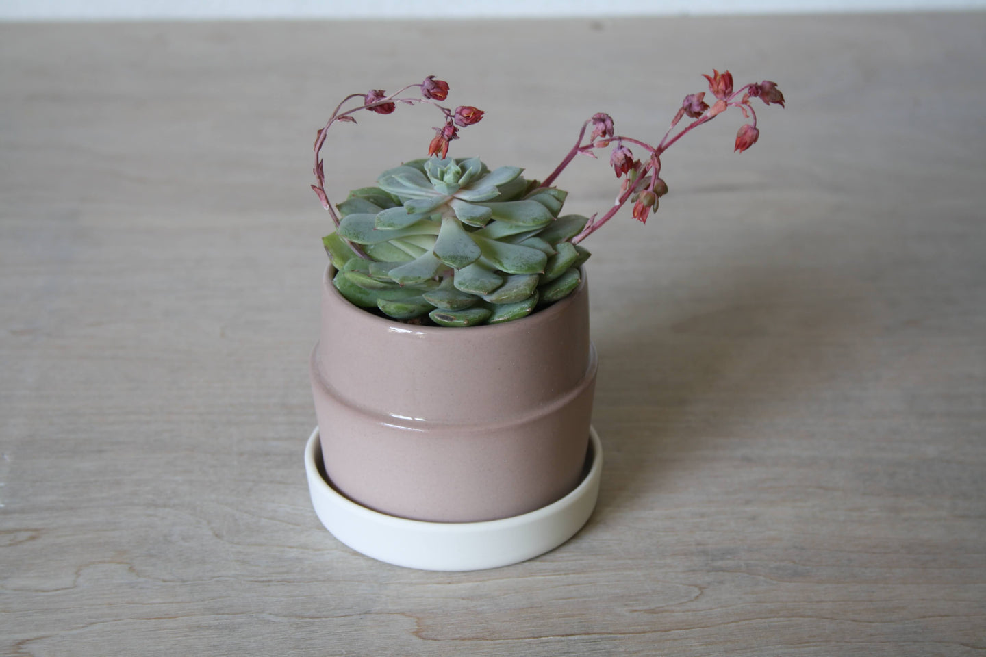 0423 - Interchangeable Mould Project - Small Planter